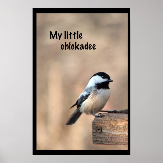 Meine kleine Hühnerin Poster (Vorne)