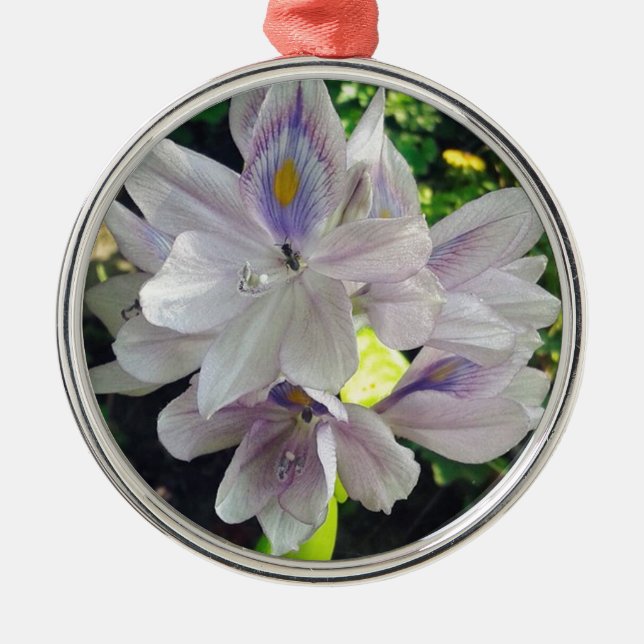 Meine kleine Pflanze im Wassergarten Ornament Aus Metall (Vorne)