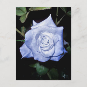 Meine kleine Prinzessin Postkarte