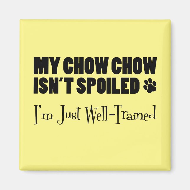 Meine Kunstrasenkasse ist nicht verwischt, ich bin Magnet (Vorne)