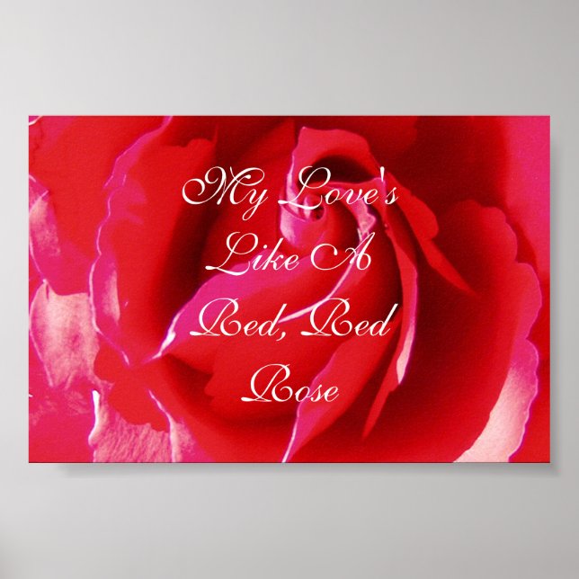 Meine Liebe ist wie eine rote Rote Rose Poster (Vorne)