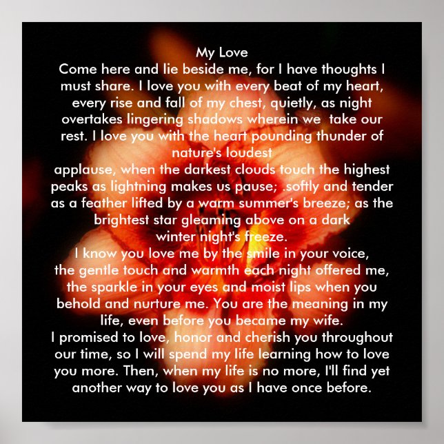 Meine Liebe Poster (Vorne)