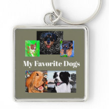 Meine Lieblingshunde kreieren Ihren eigenen 5-Plat