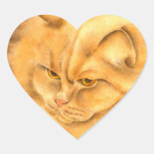 Meine Lieblingskatze