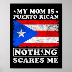 Meine Mama ist puerto-ricanisch nichts stört mich  Poster