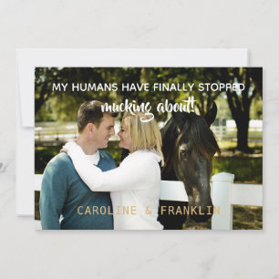 Meine Menschen haben aufgehört, über Verlobung zu  Einladung