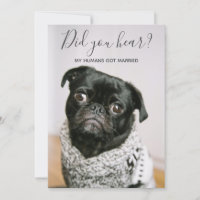 Meine Menschen haben geheiratet Hunde-Foto Hochzei