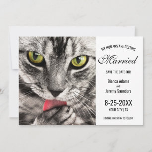 Meine Menschen heiraten Cat Foto Hochzeit Save The Date