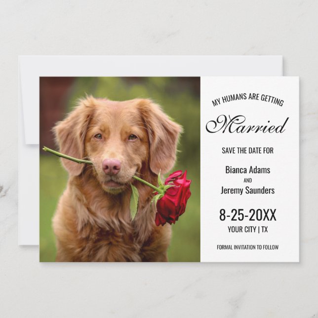 Meine Menschen heiraten Foto mit Hunden Hochzeit Save The Date (Vorderseite)