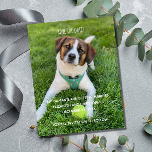 Meine Menschen heiraten - Foto Save the Date