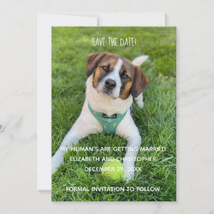 Meine Menschen heiraten Foto Save the Date Einladung