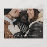 Meine Menschen heiraten Hunde-Foto
