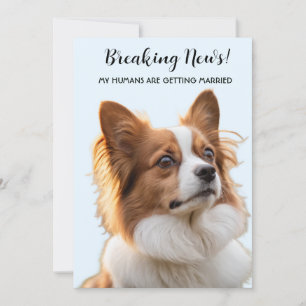 Meine Menschen heiraten Hunde-Foto Hochzeit Einladung