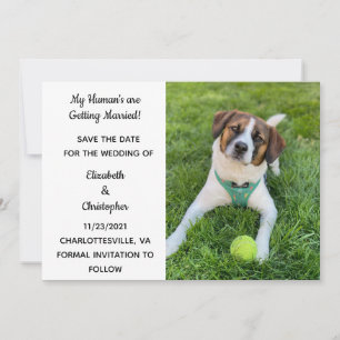 Meine Menschen heiraten Hunde-Foto Save The Date