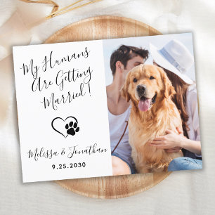 Meine Menschen heiraten QR-Code Hundehochzeit Einladungspostkarte