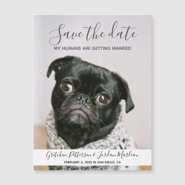 Meine Menschen heiraten Save the Date Hund Magnetkarte (Vorderseite)