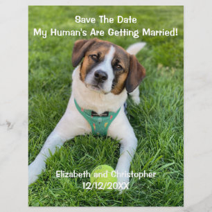 Meine Menschen heiraten Verlobungsfoto Flyer