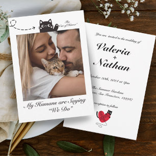 Meine Menschen sind Sprichwort, das wir Katzenjamm Einladung