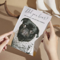 Meine Menschen werden Lässig Hochzeit zum Foto ein