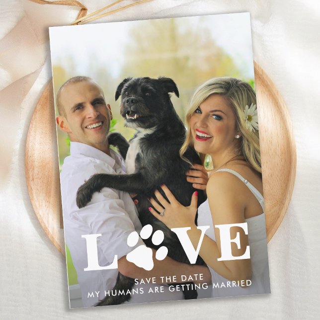 Meine Menschen werden Liebe heiraten, Hund Hochzei Save The Date (Von Creator hochgeladen)
