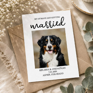 Meine Menschen werden verheiratet Hund Save the Postkarte