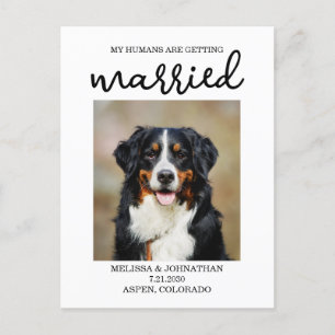 Meine Menschen werden verheiratet Hund Save the Postkarte