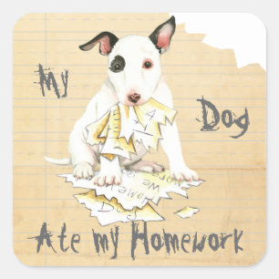 Meine Miniatur Bull Terrier Ate meine Hausaufgaben Quadratischer Aufkleber