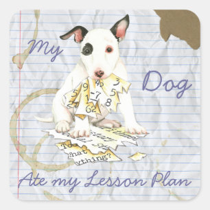 Meine Miniatur Bull Terrier Ate my Lessingplan Quadratischer Aufkleber