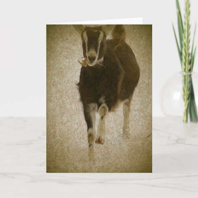 Meine Misha Karte (Vorderseite)