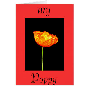 Meine Mohnblume