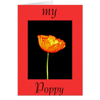 Meine Mohnblume
