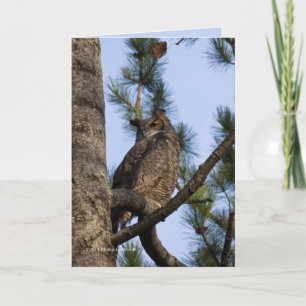 Meine Nachbarin im Wald Karte