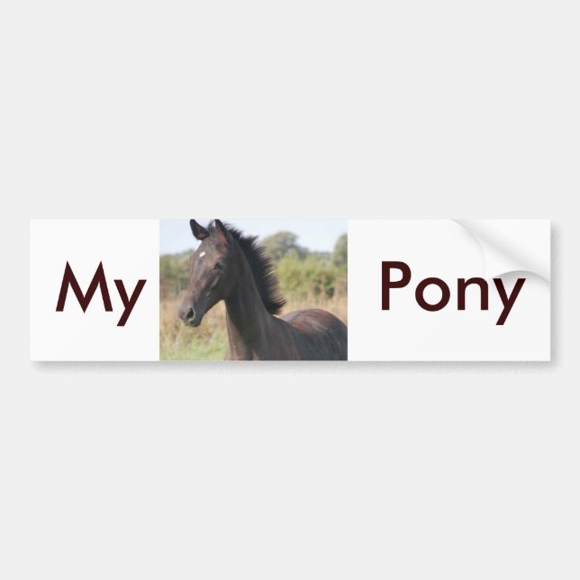 Meine neue Pony Autoaufkleber (Vorne)