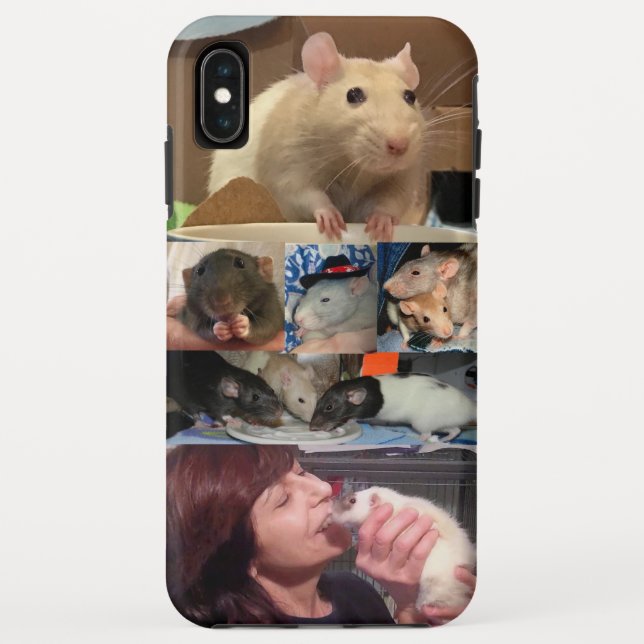 Meine Niedlichen Rats auf iPhone XS Max Fall Case-Mate iPhone Hülle (Rückseite)