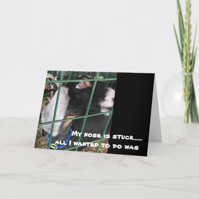 MEINE NOSE IST STUCK: "Alles, was ich GEWOLLT habe Karte (Vorderseite)