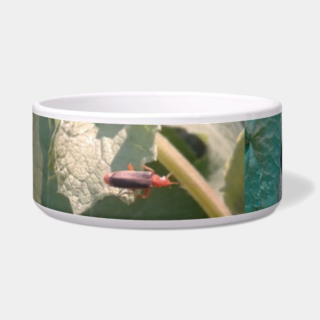 MEINE PETS BOWL/MED.&LG / KERAMIK /#mmetropolis Napf (Links)