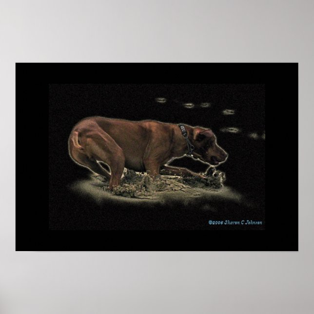 Meine Rhett Poster (Vorne)