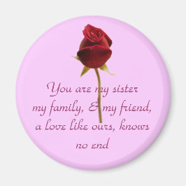 Meine Schwester, mein Freund Magnet