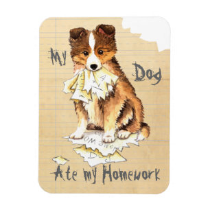 Meine Sheltie aß meine Hausaufgaben Magnet