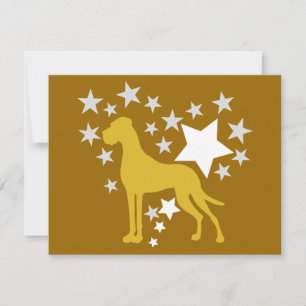 Meine Star-Doggen