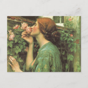 Meine süße Rose, oder Soul der Rose von Waterhouse Postkarte