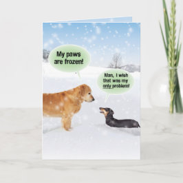 Meine Tatzen sind gefrorenes Weihnachten