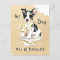 Meine Teddy Roosevelt Terrier Ate meine Hausaufgab