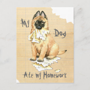Meine Tervuren Ate Meine Hausaufgaben Postkarte