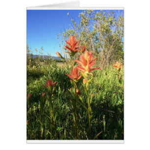 Meine Teufel Paintbrush