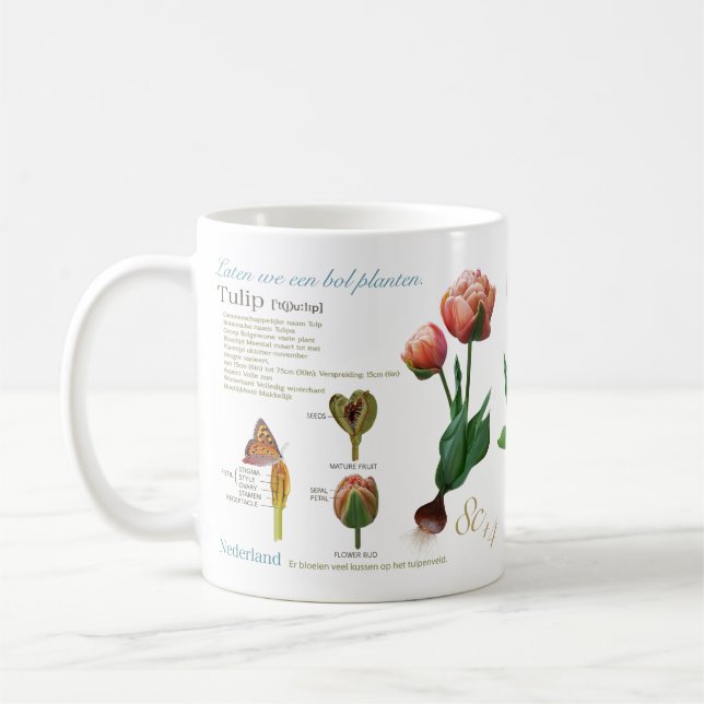 meine Tulpe! Kaffeetasse (Links)