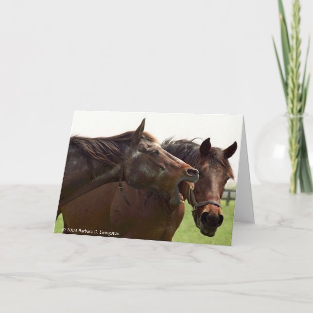 Meine turbulente Miss teilt einen Witz mit Taba Karte (Vorderseite)