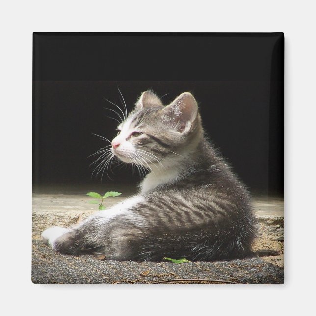 Meine Uhr Magnet (Vorne)