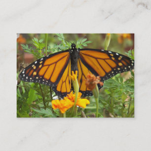 Meine Visitenkarten der Monarchschmetterlinge Visitenkarte