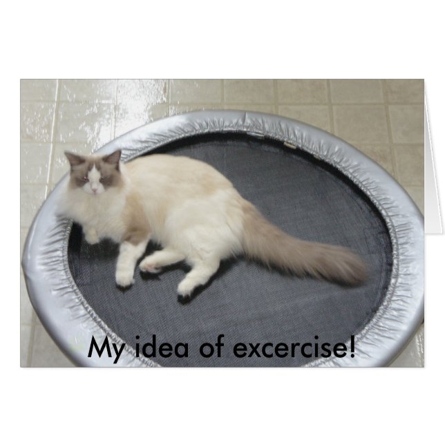 Meine Vorstellung von Übung! (Vorderseite (Horizontal))